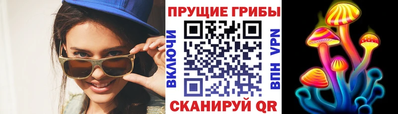 Купить закладки  Бирск  Псилоцибиновые грибы ЛСД 